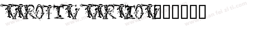 Aerotis Version字体转换